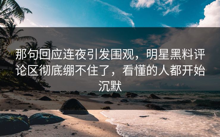 那句回应连夜引发围观，明星黑料评论区彻底绷不住了，看懂的人都开始沉默