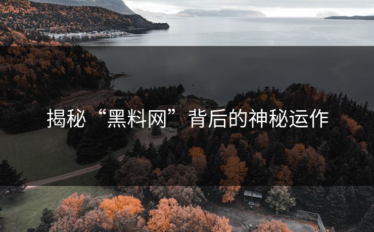 揭秘“黑料网”背后的神秘运作 揭秘“黑料网”背后的神秘运作